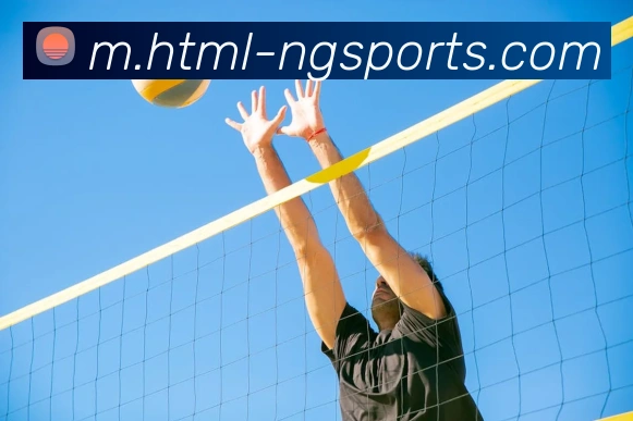 体育下注平台生态图